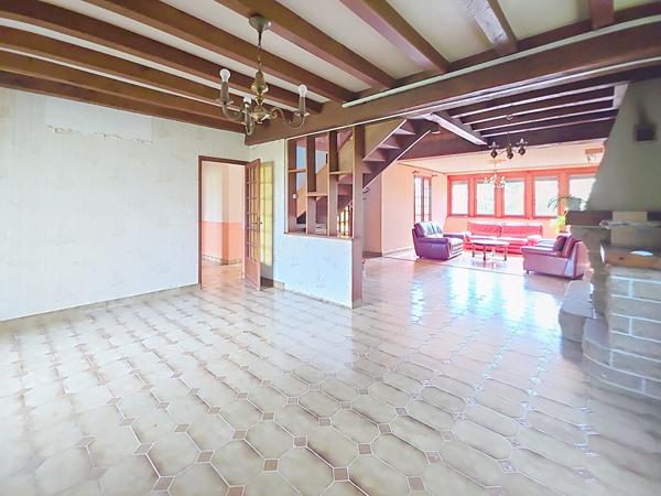 Maison A VENDRE à Belligné, grand terrain de plus de 9000m², maison familiale, grande pièce de vie