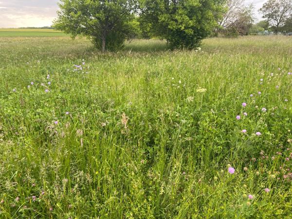 terrain de loisir orienté nord sud