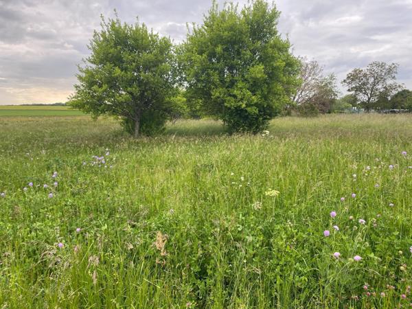 terrain de loisir orienté nord sud