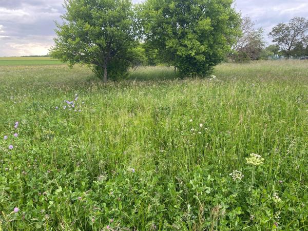 terrain de loisir orienté nord sud