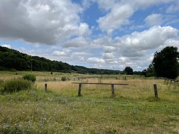 CENTRE EQUESTRE EN PUISAYE