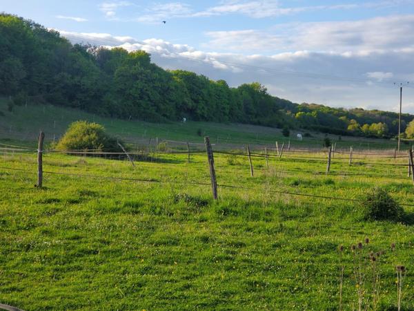 CENTRE EQUESTRE EN PUISAYE