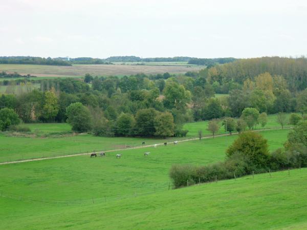 CENTRE EQUESTRE EN PUISAYE