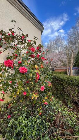 MAISON TRADITIONNELLE