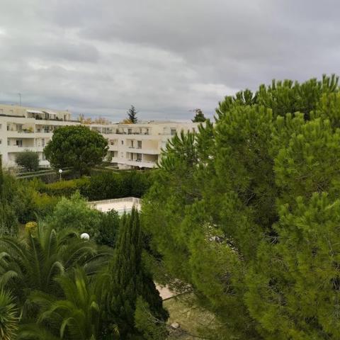 Appartement à louer à Montpellier (34000)