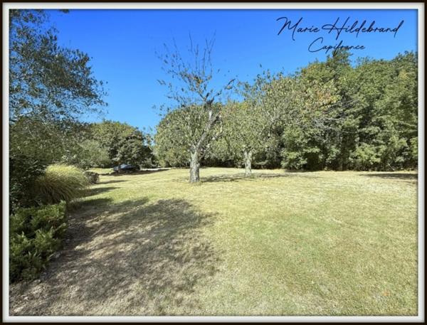 Maison en pierre de plus de 220m² - 5 chambres - jardin, piscine, dépendances - 3600m²