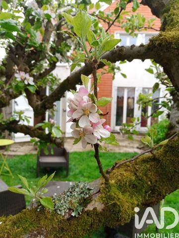 Maison à vendre 8 pièces 185 m² Voisins-le-Bretonneux