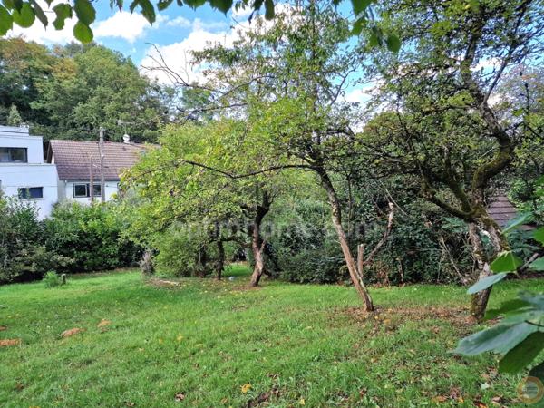 Terrain à vendre de 800,00 m² LINAS (91)