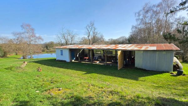 TERRAIN DE LOISIR AVEC ETANG ET MAISONNETTE DE REPOS + APPENTI + GARAGE - CADRE CALME ET VERDOYANT
