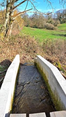 TERRAIN DE LOISIR AVEC ETANG ET MAISONNETTE DE REPOS + APPENTI + GARAGE - CADRE CALME ET VERDOYANT