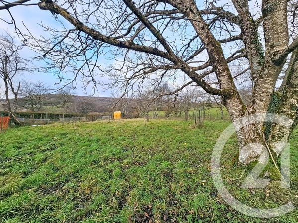 Maison à vendre  2 pièces - 262,82 m2 SERQUEUX - 52