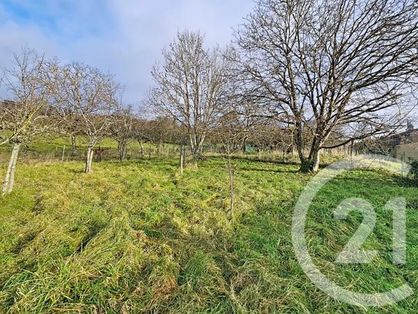 Maison à vendre  2 pièces - 262,82 m2 SERQUEUX - 52