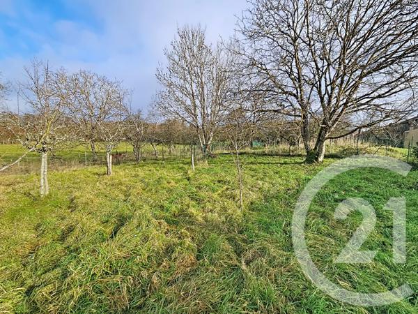 Maison à vendre  2 pièces - 262,82 m2 SERQUEUX - 52