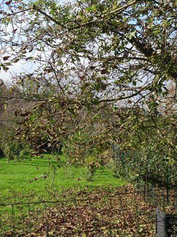 Au port du canal de Chagny avec accés dependance pour Airbnb