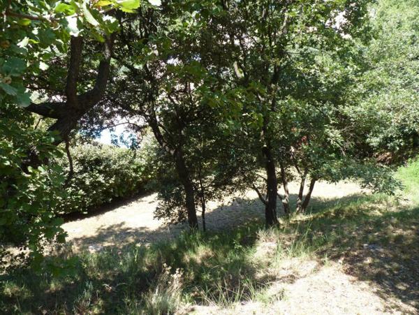 Ste Tulle, à Costebelle, terrain viabilisé de 854 m²