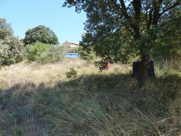 Ste Tulle, à Costebelle, terrain viabilisé de 854 m²