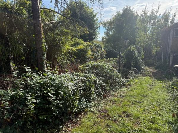 Maison individuelle Champigny-sur-Marne 53 m²