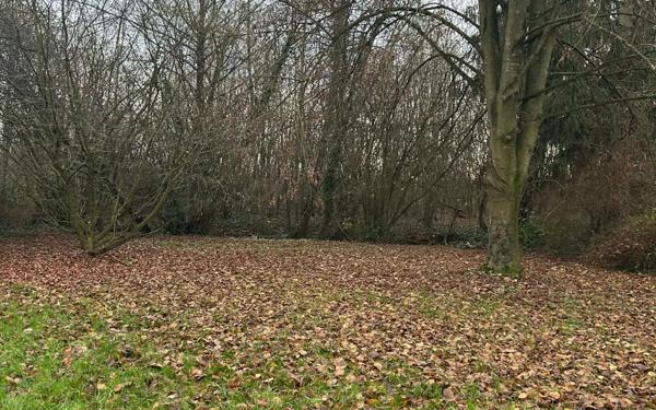 Maison à louer    3 pièces •  Marcy-sous-Marle