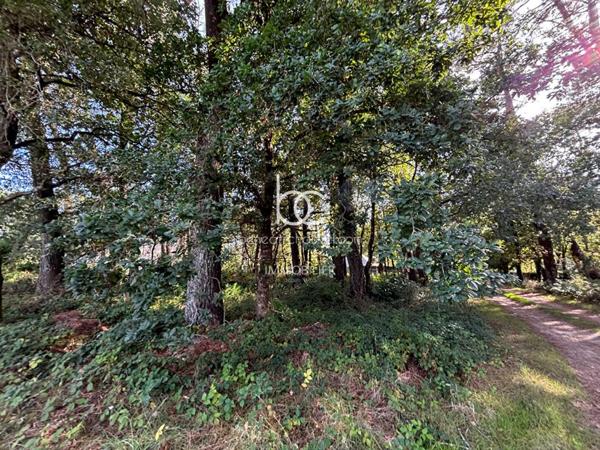 VANNES Terrain 1674 m²