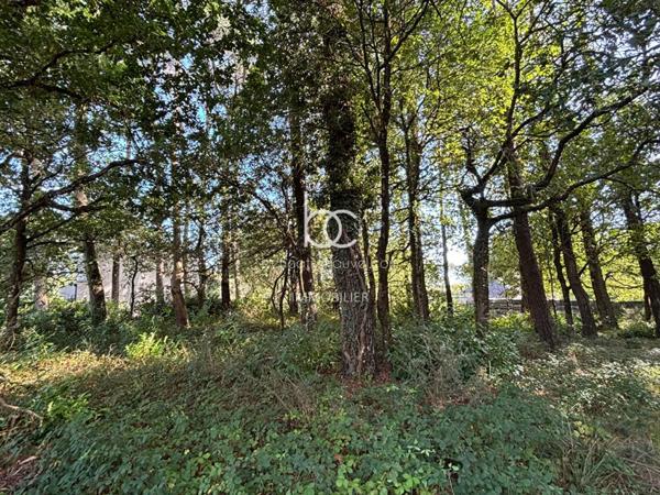 VANNES Terrain 1674 m²