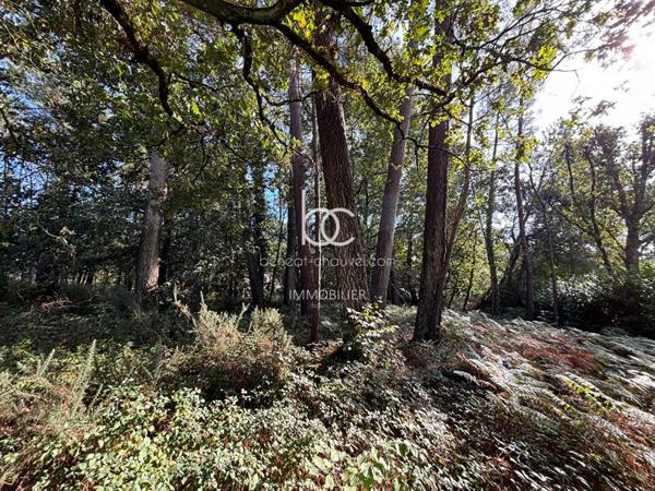 VANNES Terrain 1674 m²