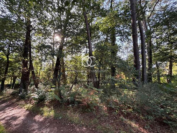 VANNES Terrain 1674 m²