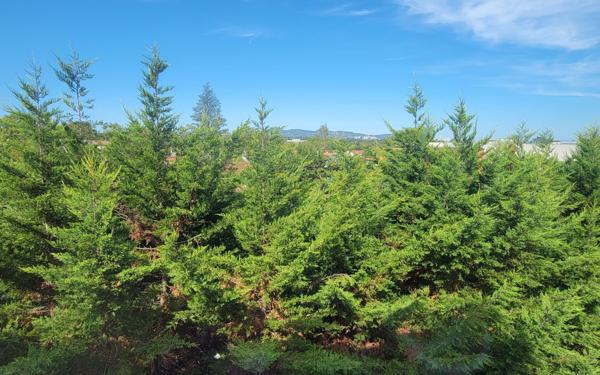 Appartement à vendre    3 pièces • 65,75 m2 Francheville