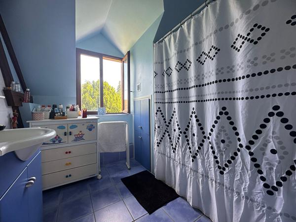 Maison Cheverny 10 pièce(s) 261 m²