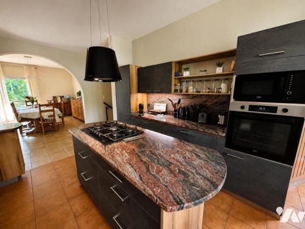 SAINT PAUL LA PLAINE VILLA T7 PISCINE GRAND TERRAIN