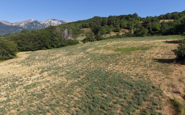 Terrain à vendre