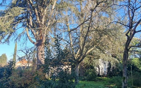 Maison à vendre    5 pièces •  Montauban