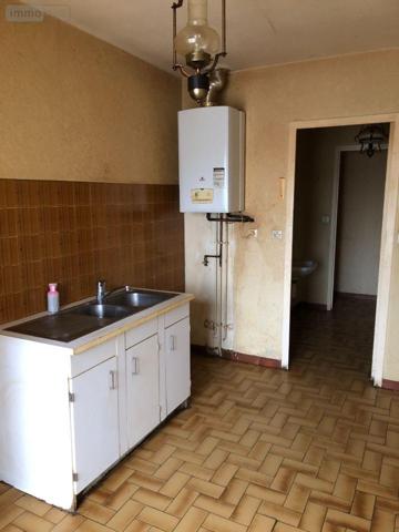 Pavillon à vendre à Issoudun dans l'Indre (36100), ref : 11813/1480