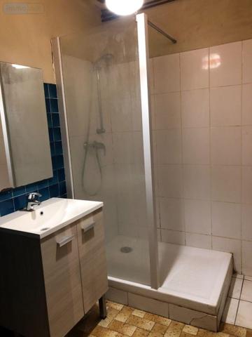 Pavillon à vendre à Issoudun dans l'Indre (36100), ref : 11813/1480