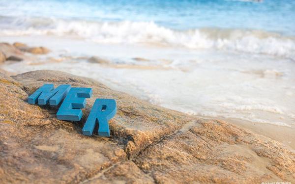 Appartement à louer    1 pièce •  Port-Louis