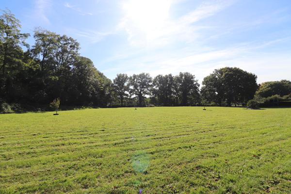 À 5 minutes de Pougues-les-Eaux / Villa à l'allure contemporaine 2011 sur plus d'1 hectare avec piscine et forêt en bordure