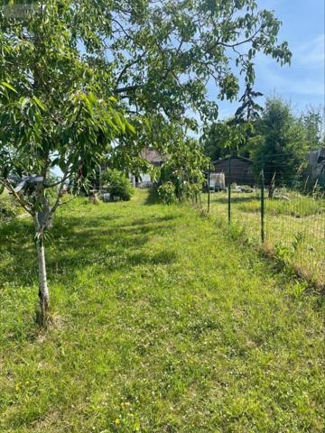 Maison à vendre à Neuville-en-Ferrain dans le Nord (59960), ref : 12995/1001