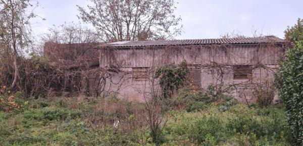 Belle Propriété d'Agrément et sa Maison Individuelle de 164 m² sur Sous-sol complet et Véranda à Rénover avec Cour, Garages, Caves, Dépendances et Terrain clos et paysager de 10192 m²