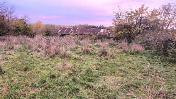 Belle Propriété d'Agrément et sa Maison Individuelle de 164 m² sur Sous-sol complet et Véranda à Rénover avec Cour, Garages, Caves, Dépendances et Terrain clos et paysager de 10192 m²