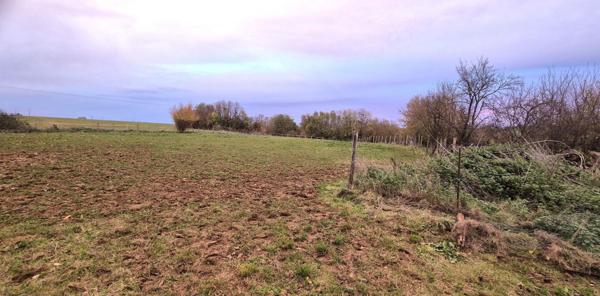 Belle Propriété d'Agrément et sa Maison Individuelle de 164 m² sur Sous-sol complet et Véranda à Rénover avec Cour, Garages, Caves, Dépendances et Terrain clos et paysager de 10192 m²