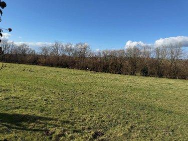 Terrain de loisirs - Bois - Etang à vendre à La Lande-d'Airou dans la Manche (50800), ref : 50038-2624