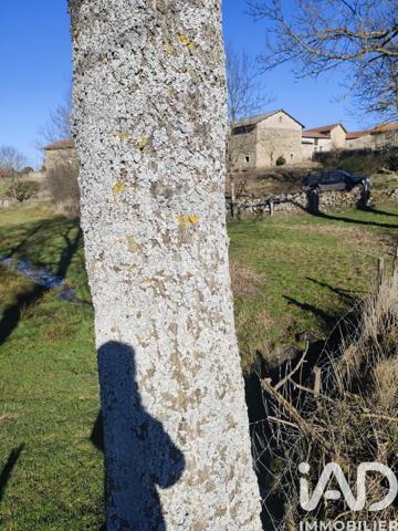 Maison à vendre 1 pièce 120 m² Craponne-sur-Arzon