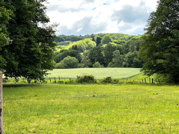 Charmante propriété en pierre rénovée avec piscine, nichée en pleine nature, sur un terrain de 4,5 hectares avec ruisseau