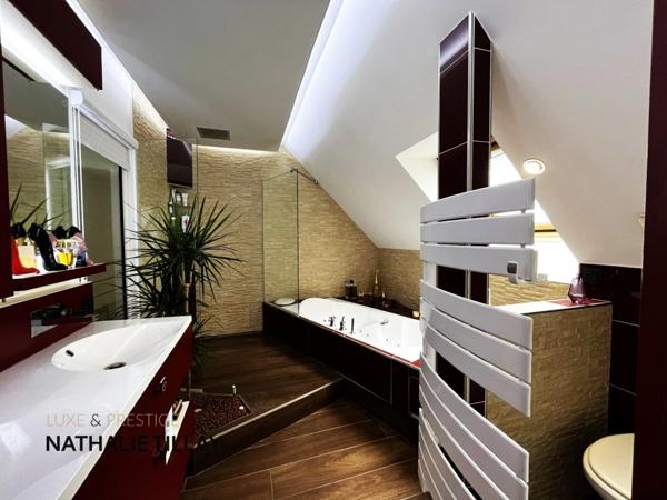 La chapelle St Mesmin, proche Orleans, maison d arrchitecte de 200 m² à vendre, piscine, vue dégagée sur les bois, terrain 1700 m²