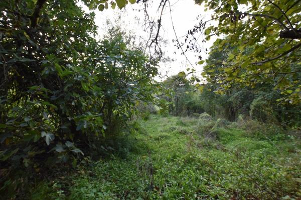 Grange à rénover à Saint Cernin (Lot)