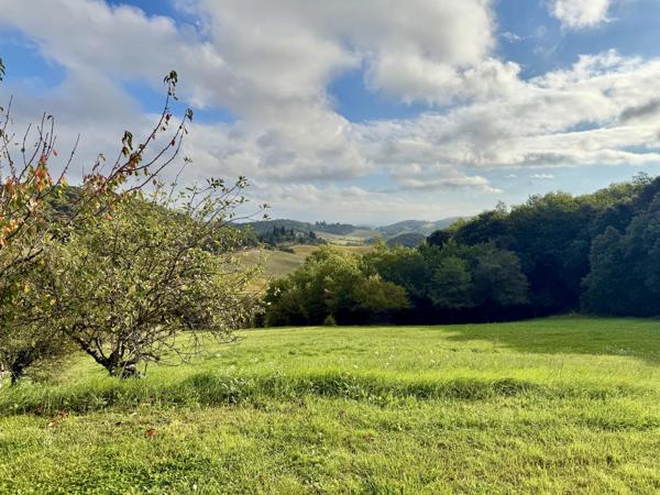Domaine de charme avec trois gites proche de Limoux