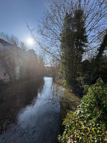 CHATILLON SUR SEINE( 21) Belle demeure de 1964 avec terrain de 2000m² bord de SEINE. Châtillon-sur-Seine (21400)