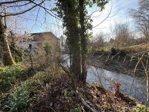 CHATILLON SUR SEINE( 21) Belle demeure de 1964 avec terrain de 2000m² bord de SEINE. Châtillon-sur-Seine (21400)