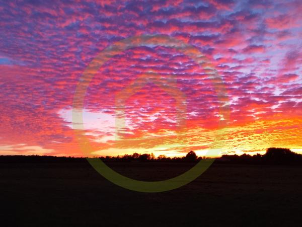 Remise en pierre à MAULEON (79700)