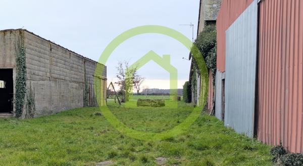 Remise en pierre à MAULEON (79700)