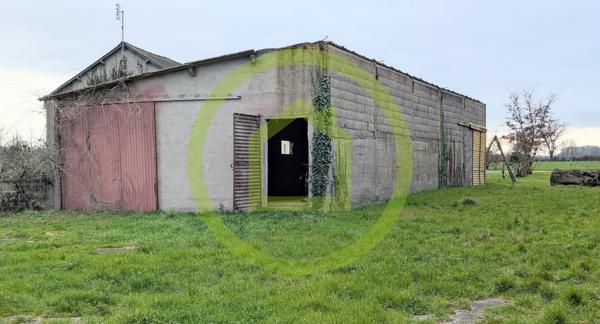 Remise en pierre à MAULEON (79700)